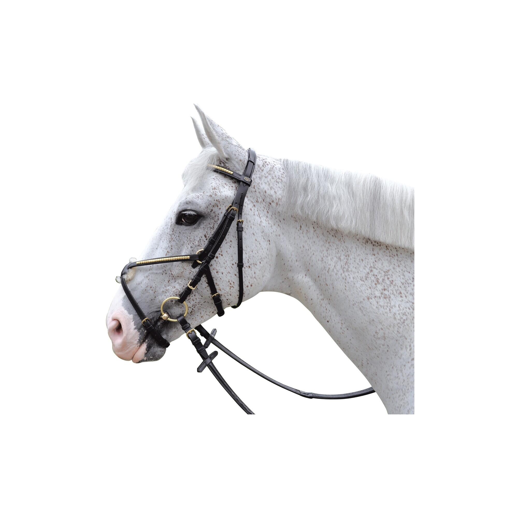 Snaffle bridles Chetak cross-bred clencher