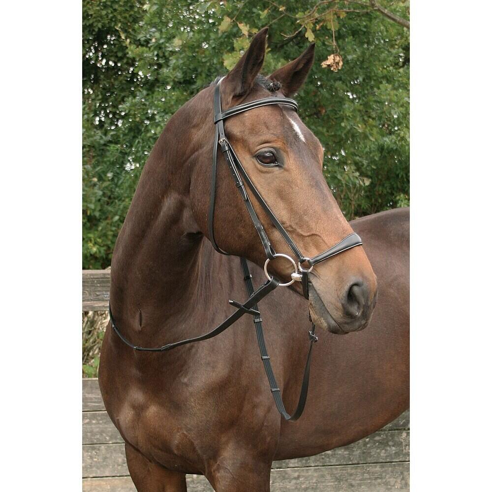 Hoofdstel met lage neusriem  Harry's Horse Bronze 2/2