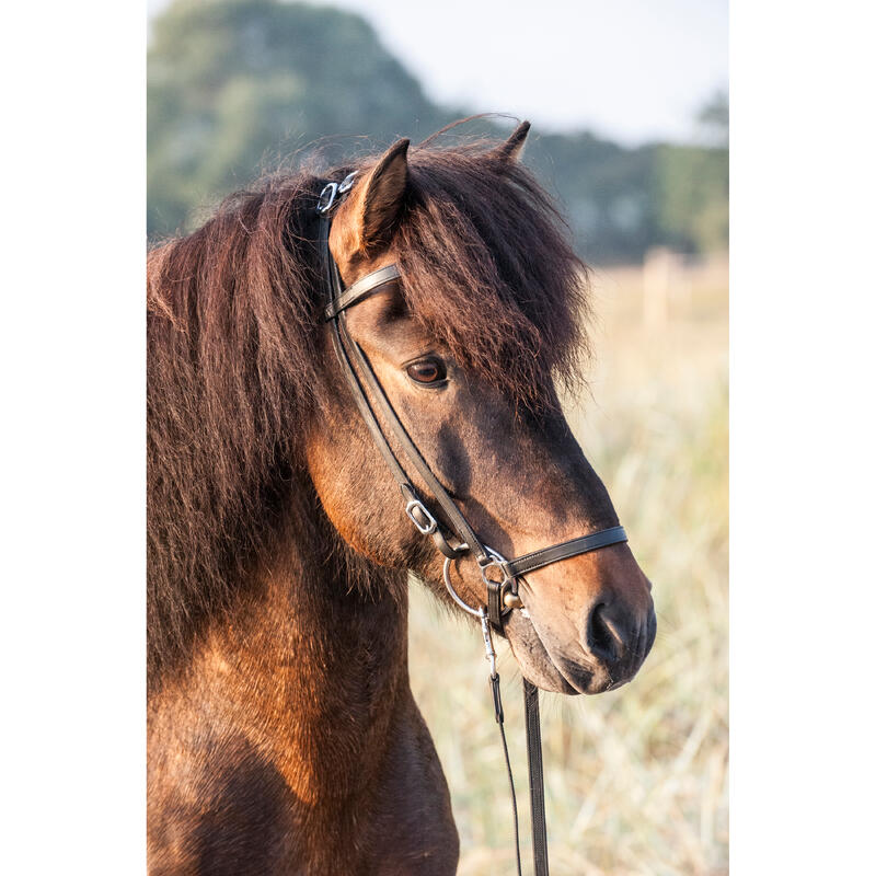 Bridons équitation islandaise Catago Classic