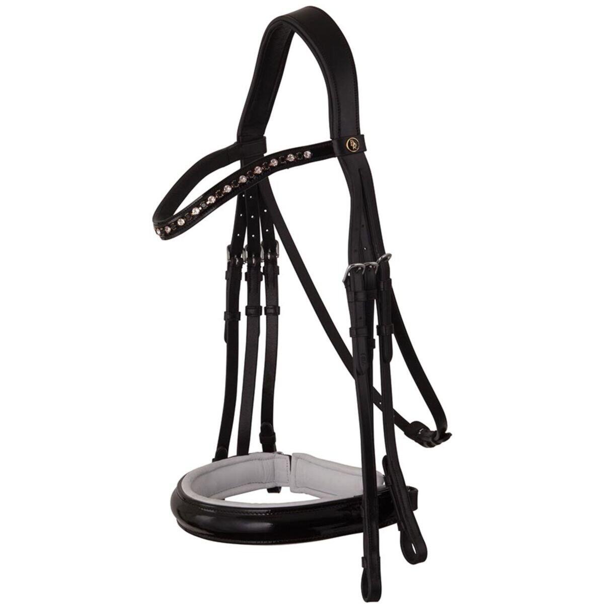 BR Anatomische hoofdstellen BR Equitation Wendover