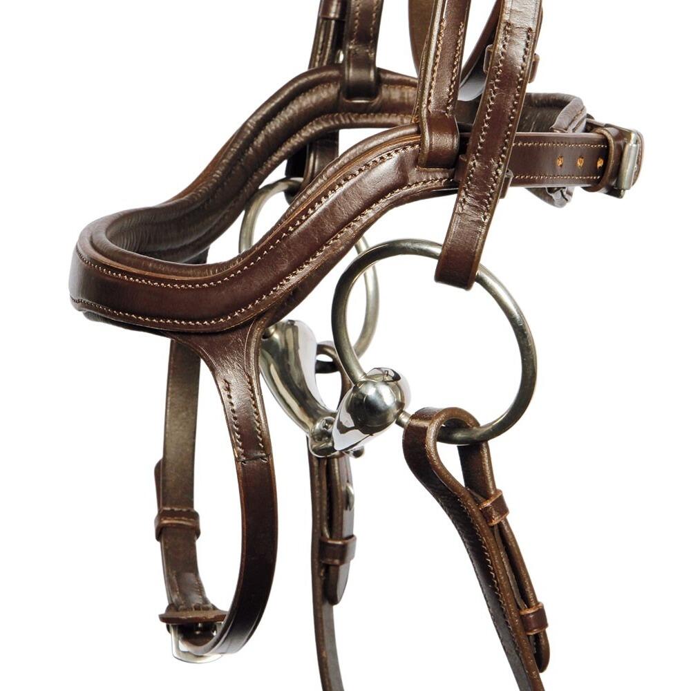 Bridons équitation pour cheval Harry's Horse Anatomic 2/3