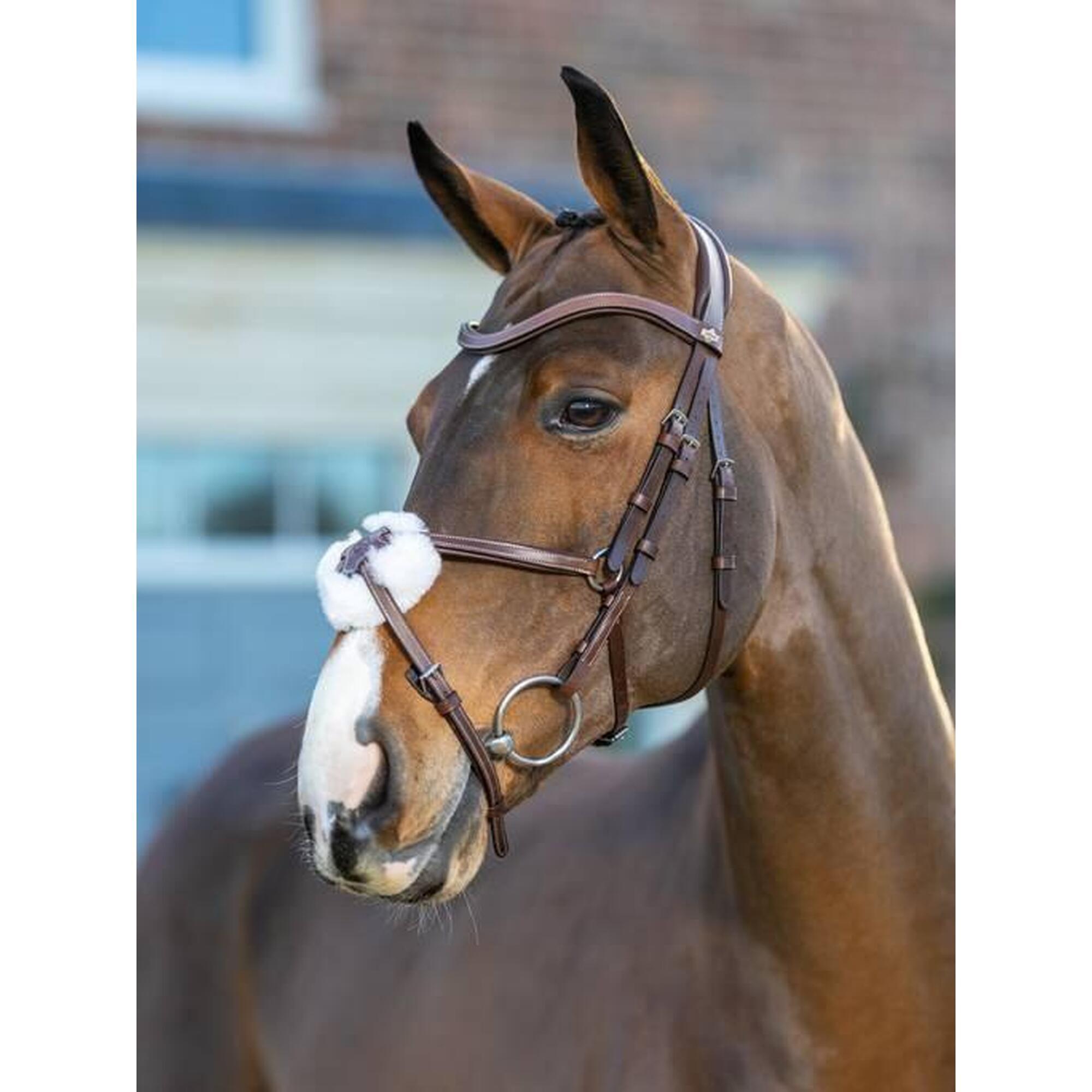 Bridon pour cheval muserolle croisée LeMieux Arika Grackle