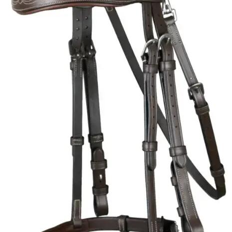 English-combined riding bridle with snap hook Dy'on
