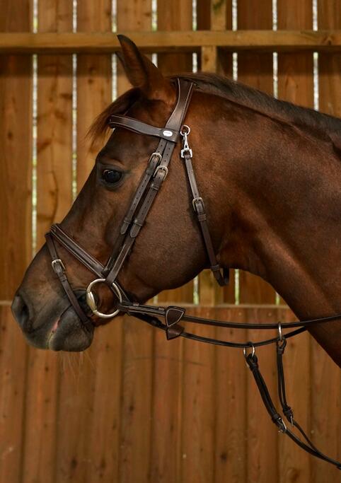 Briglia da equitazione combinata all'inglese con moschettone Dy'on 2/2