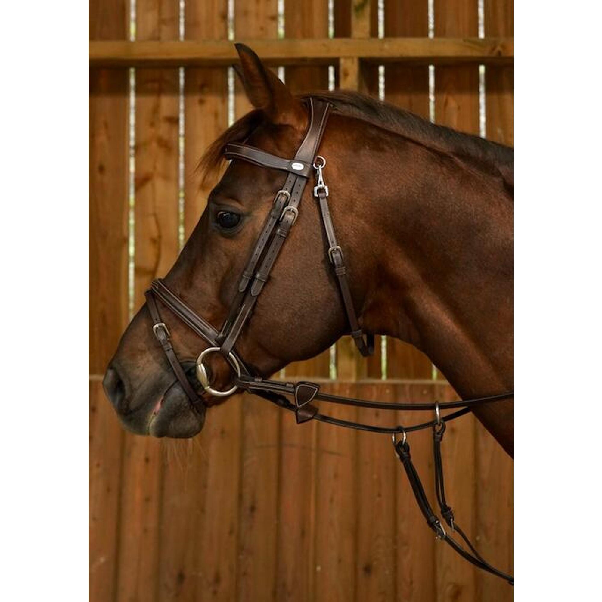 Flash Noseband Bridle With Snap Hooks Working Coll.
