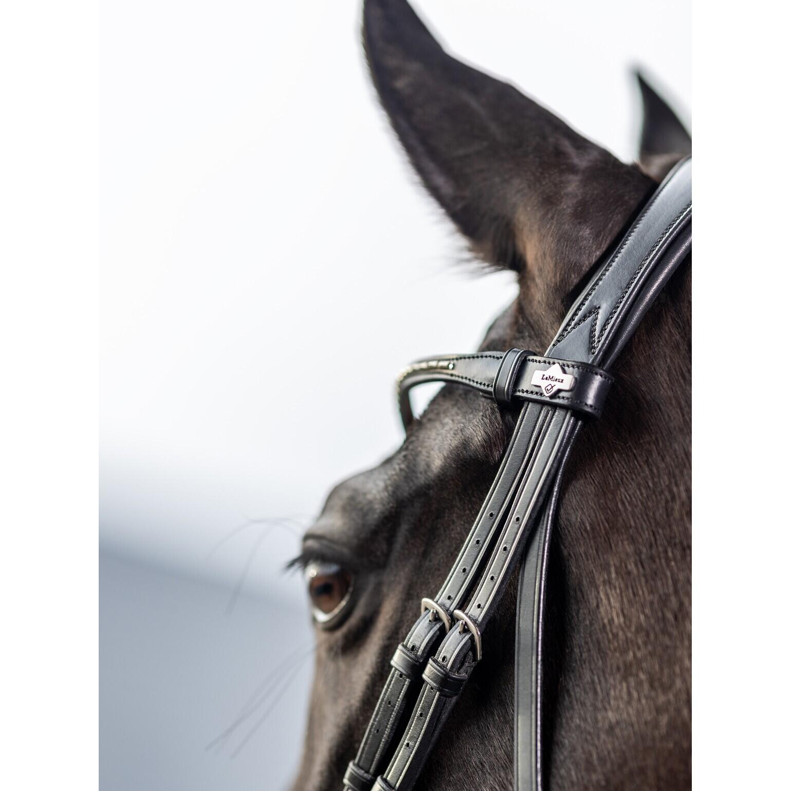 Horse riding bridle LeMieux Classic