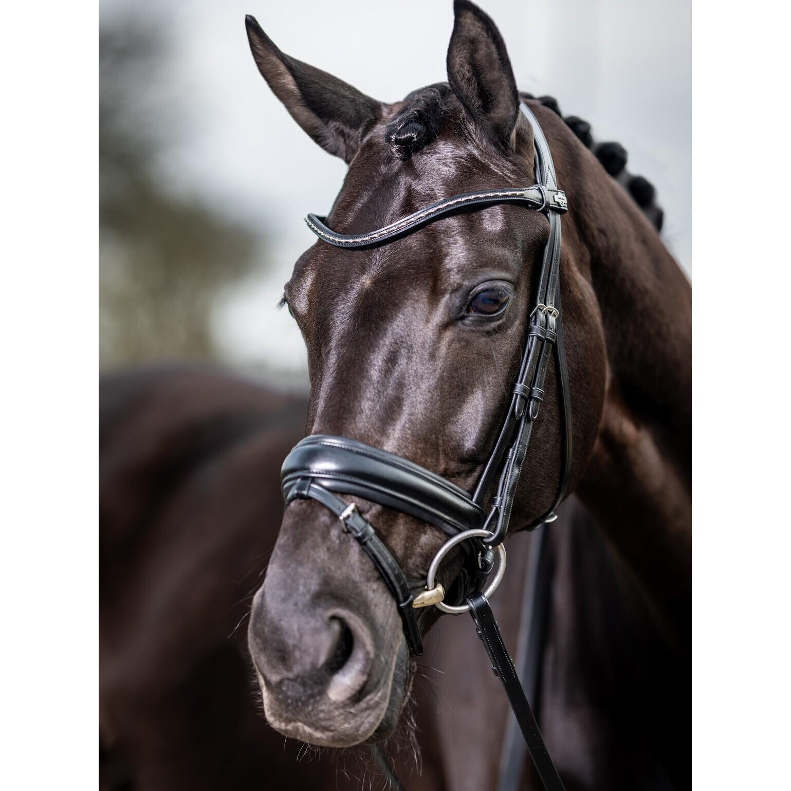 Horse riding bridle LeMieux Classic