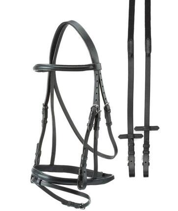 Bridons pour cheval econ lisse Tattini (1403833)