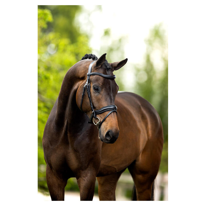 Anatomisch geformte Reitzäume BR Equitation Luton