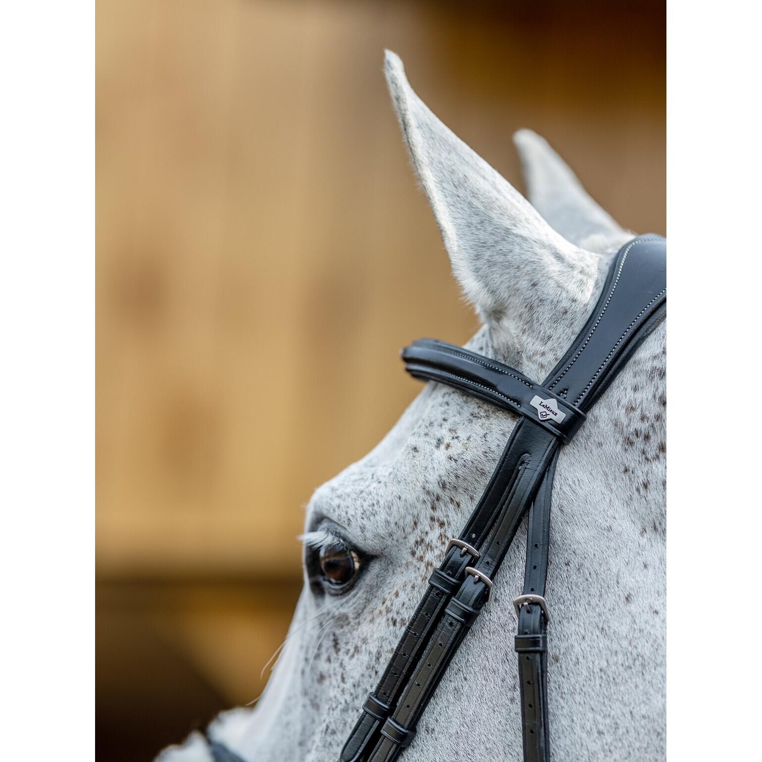 Bridon équitation pour cheval muserolle croisée LeMieux Grackle 3/7