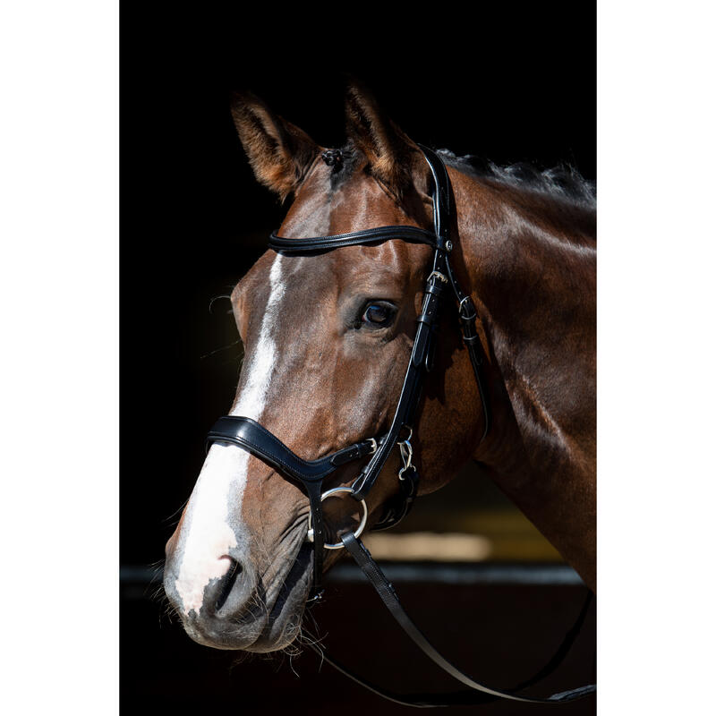 Reittrensen für Pferde Harry's Horse Release