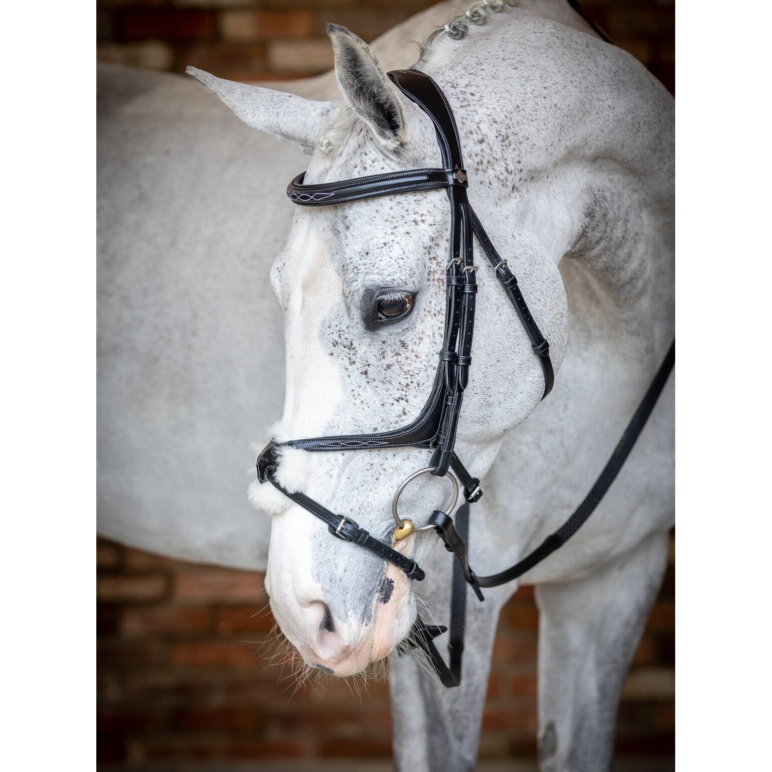Bridon équitation pour cheval muserolle croisée LeMieux Grackle 2/7