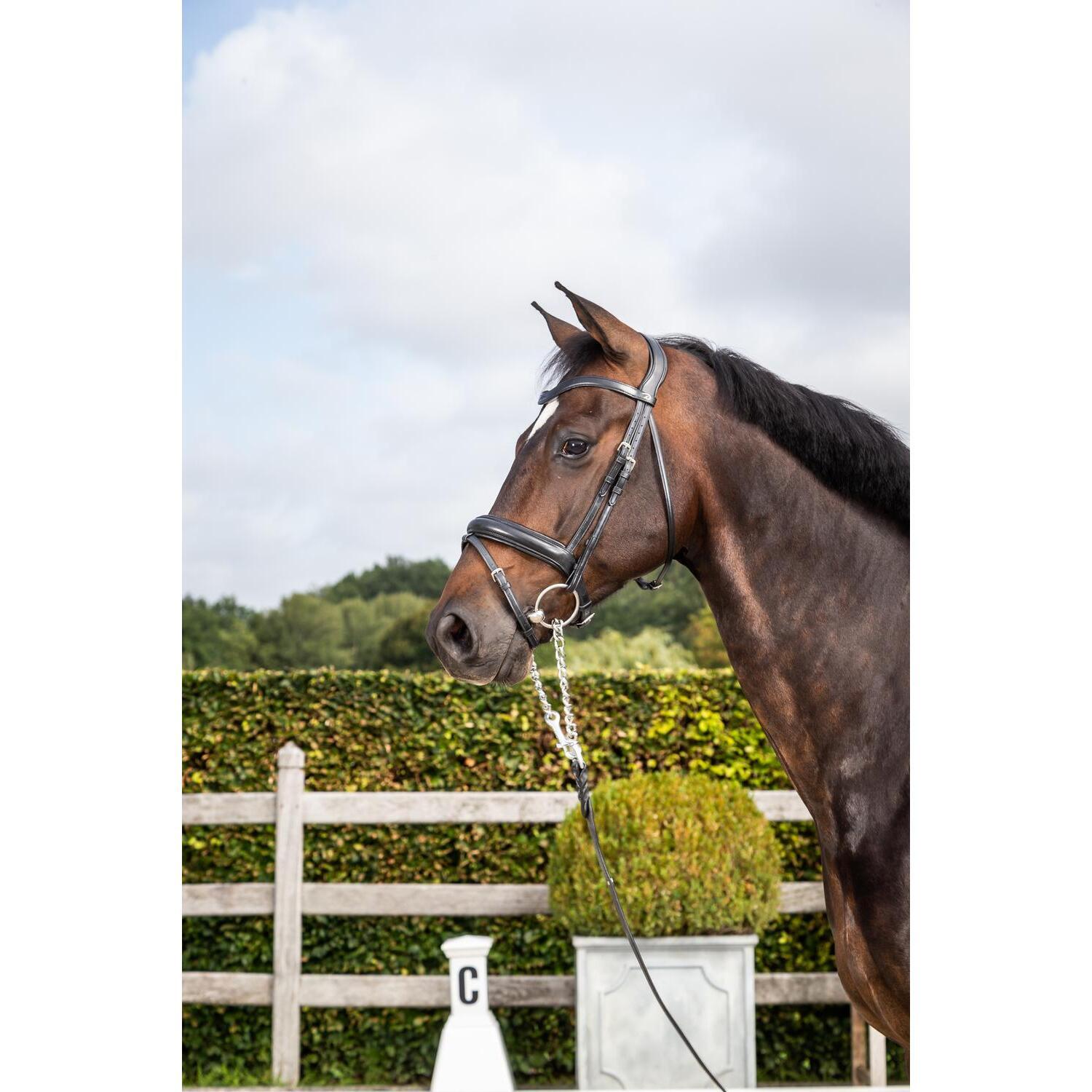 Dy'on Medium Combination Snaffle Bridle