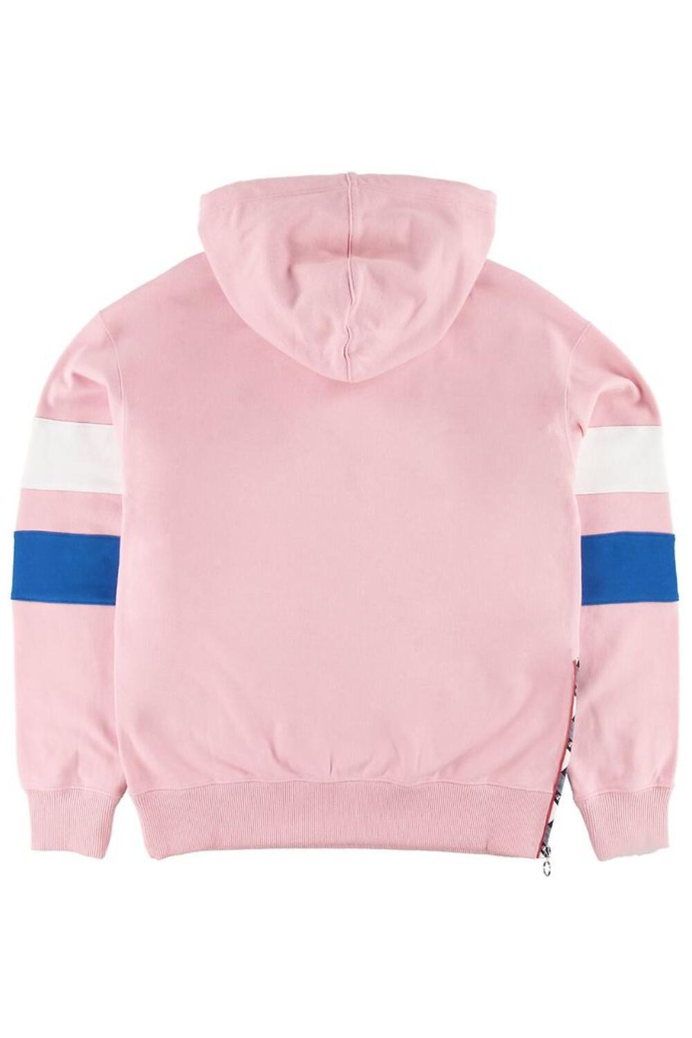 Champion Sweatshirt HD damessweatshirt 3/3