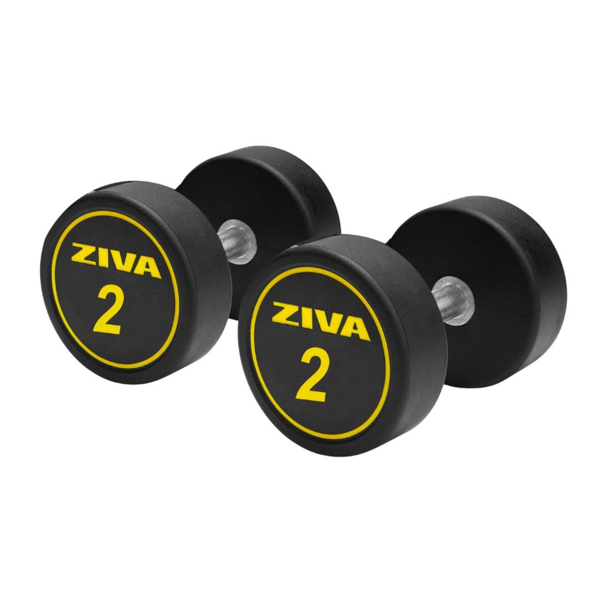 ZIVA Mancuernas redonda ZIVA performance 2kg