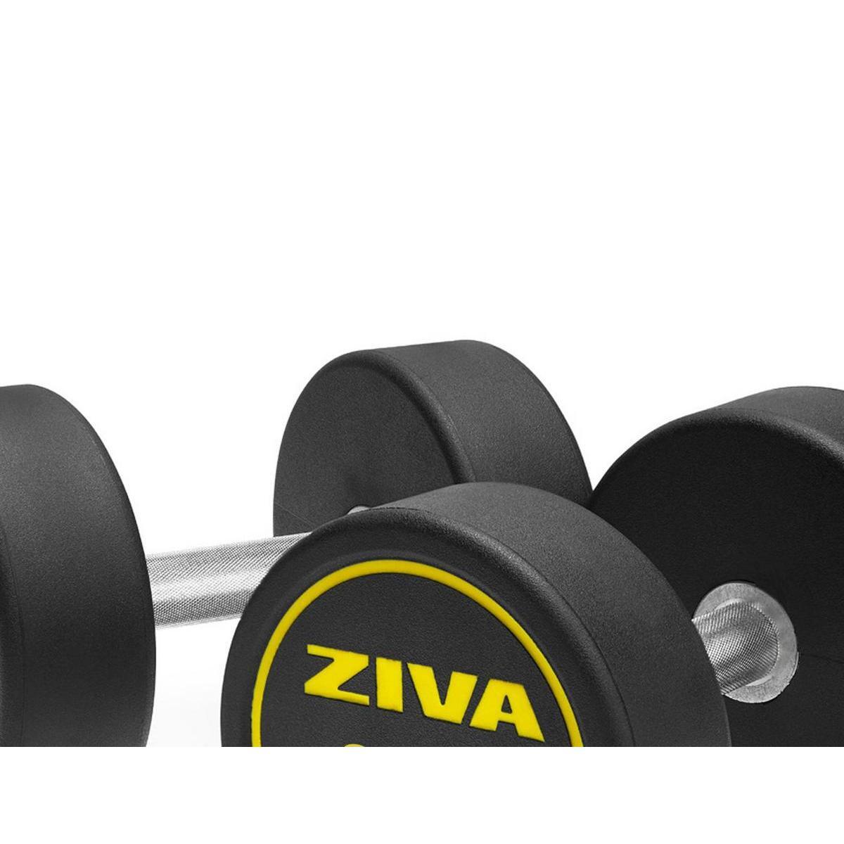 Mancuernas redonda ZIVA performance 2.5kg 3/3