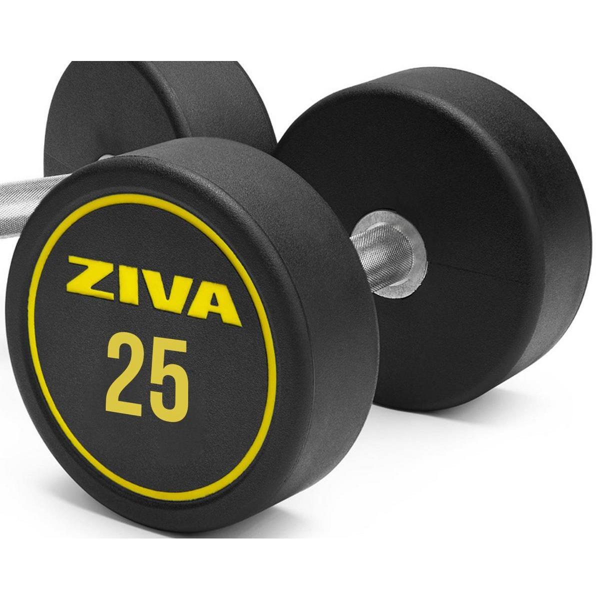 ZIVA picture