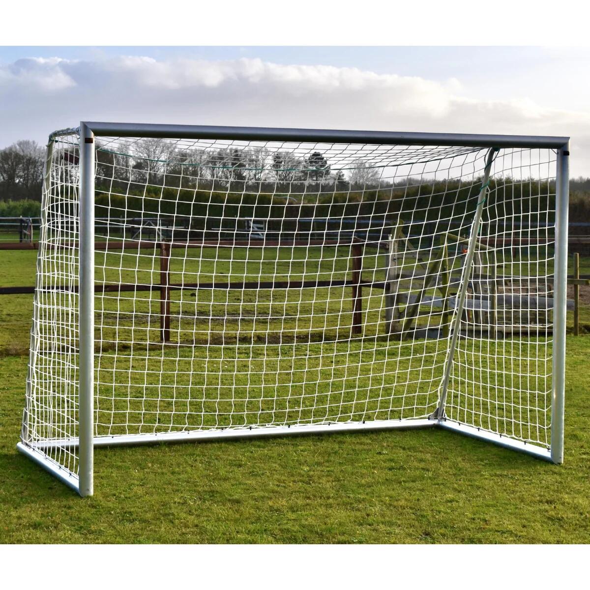 But de football Avyna en aluminium - Pro Goal 300 x 200 cm - filet inclus 2/7