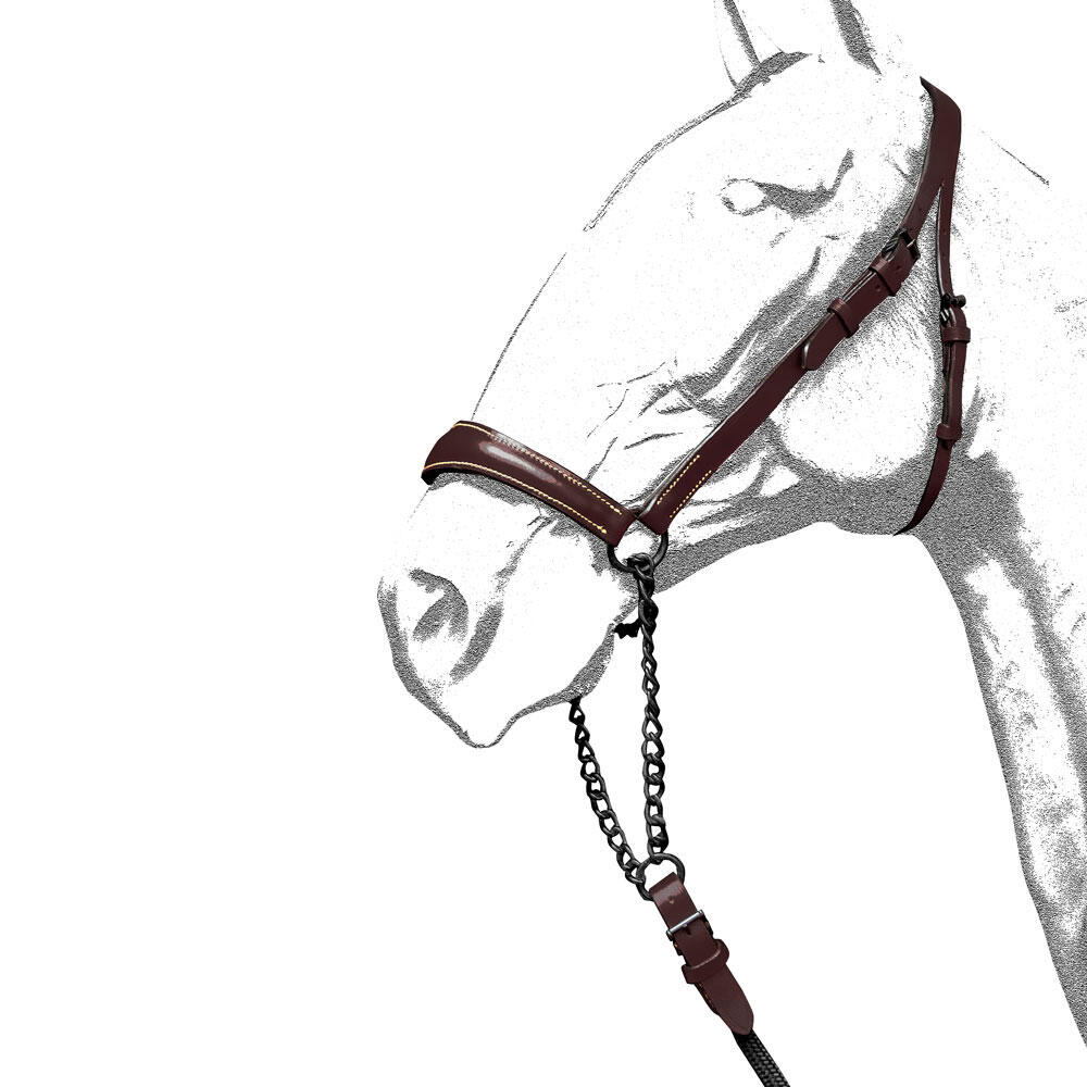 Diadema Y Banda Nasal Equipride - Estampado Caballos Con Cuerda De Plomo