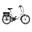 Bicicletta a pedalata assistita - Unisex – Denver E1000 - Pieghevole