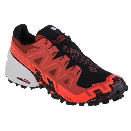 SALOMON picture