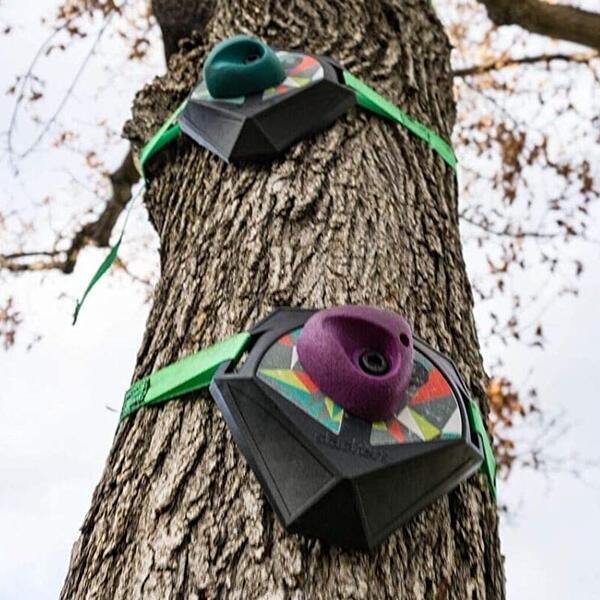 Slackers  Line Treeclimbers 5/5