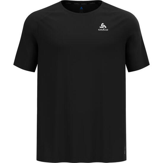 Shorts Essential 365