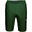 MAMMUT Herren Funktionsshorts Massone