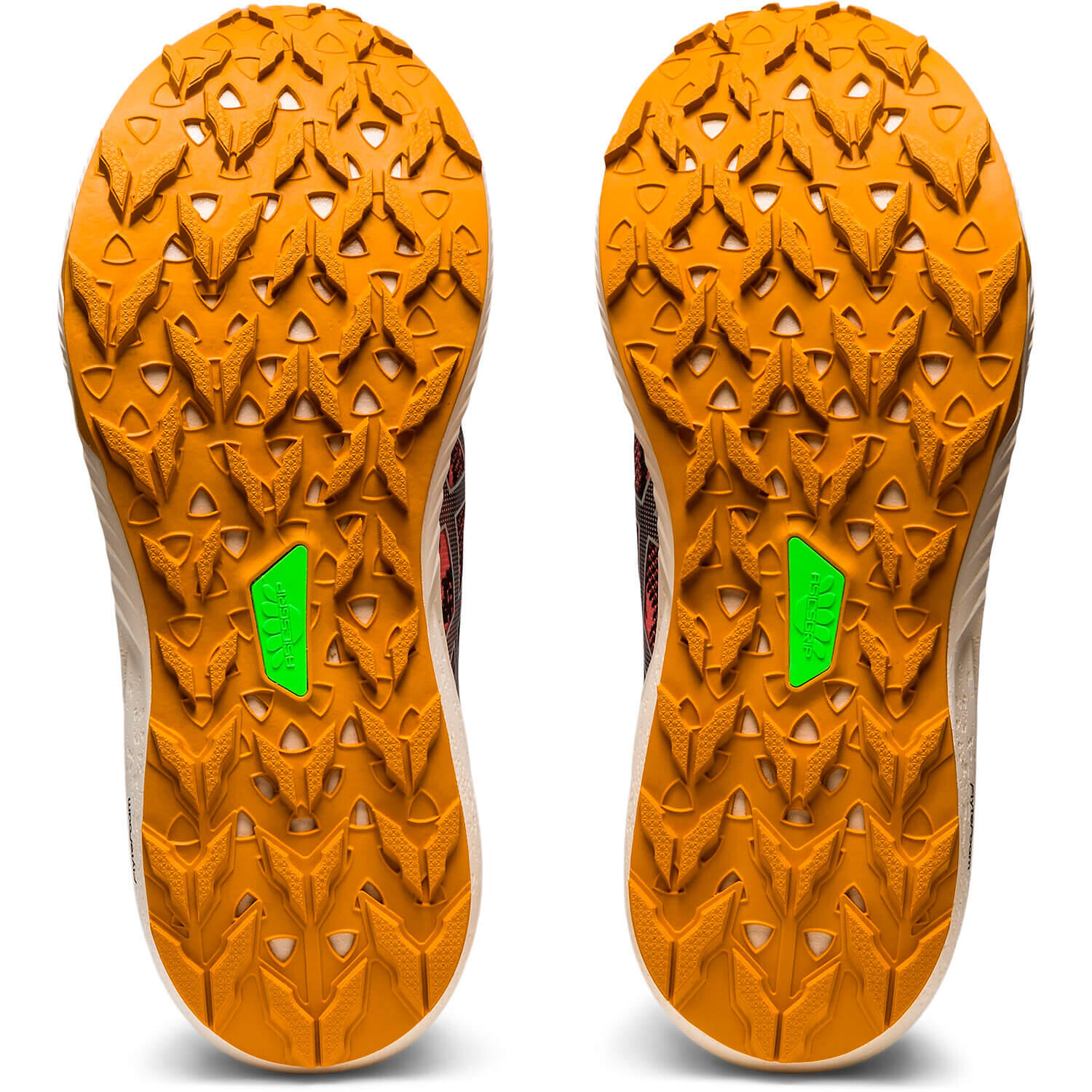 Schuhe Fuji Lite 3 2/5