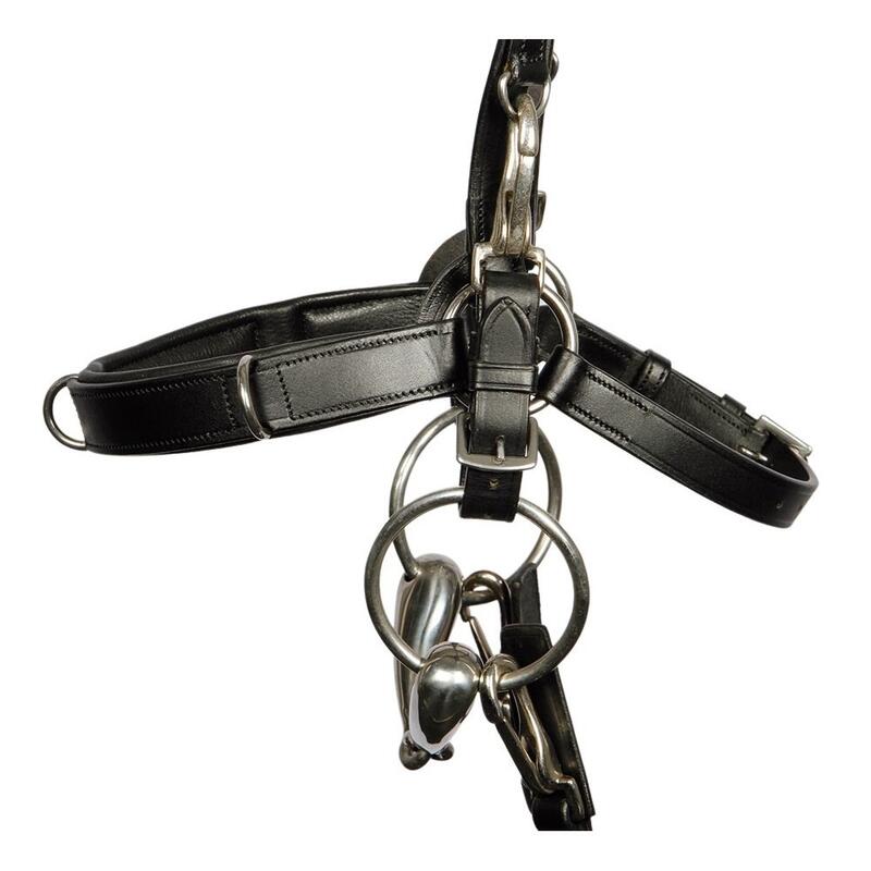 Caveçons cuir pour cheval Harry's Horse