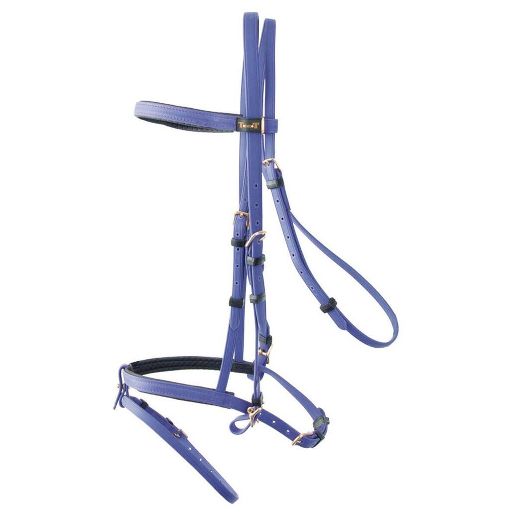 Bridles T de T Biotack®