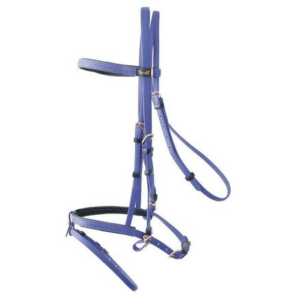 Uzda jeździecka T de T Biotack®