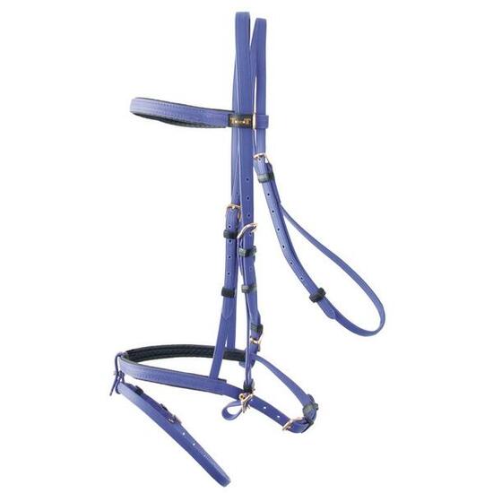 Uzda jeździecka T de T Biotack®