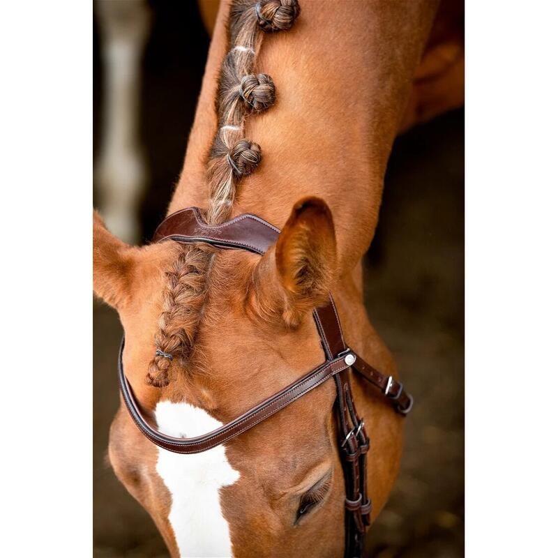 Bridons équitation de dressage en cuir vegan Montar Normandie ECO