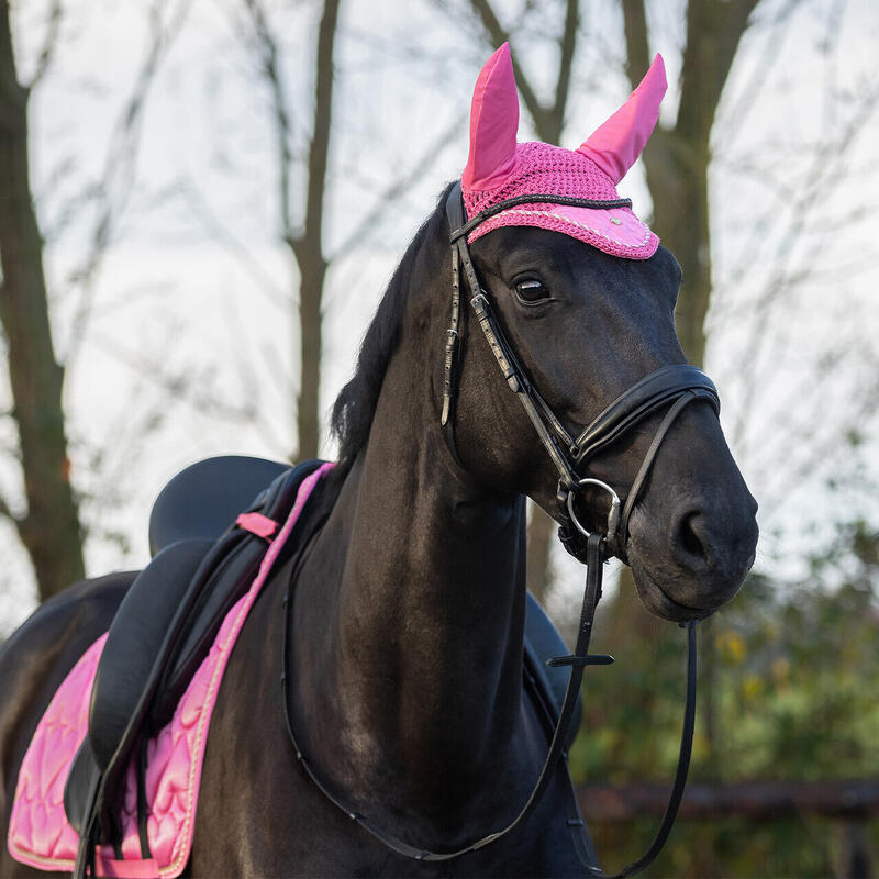 Bonnet pour cheval QHP Valentine