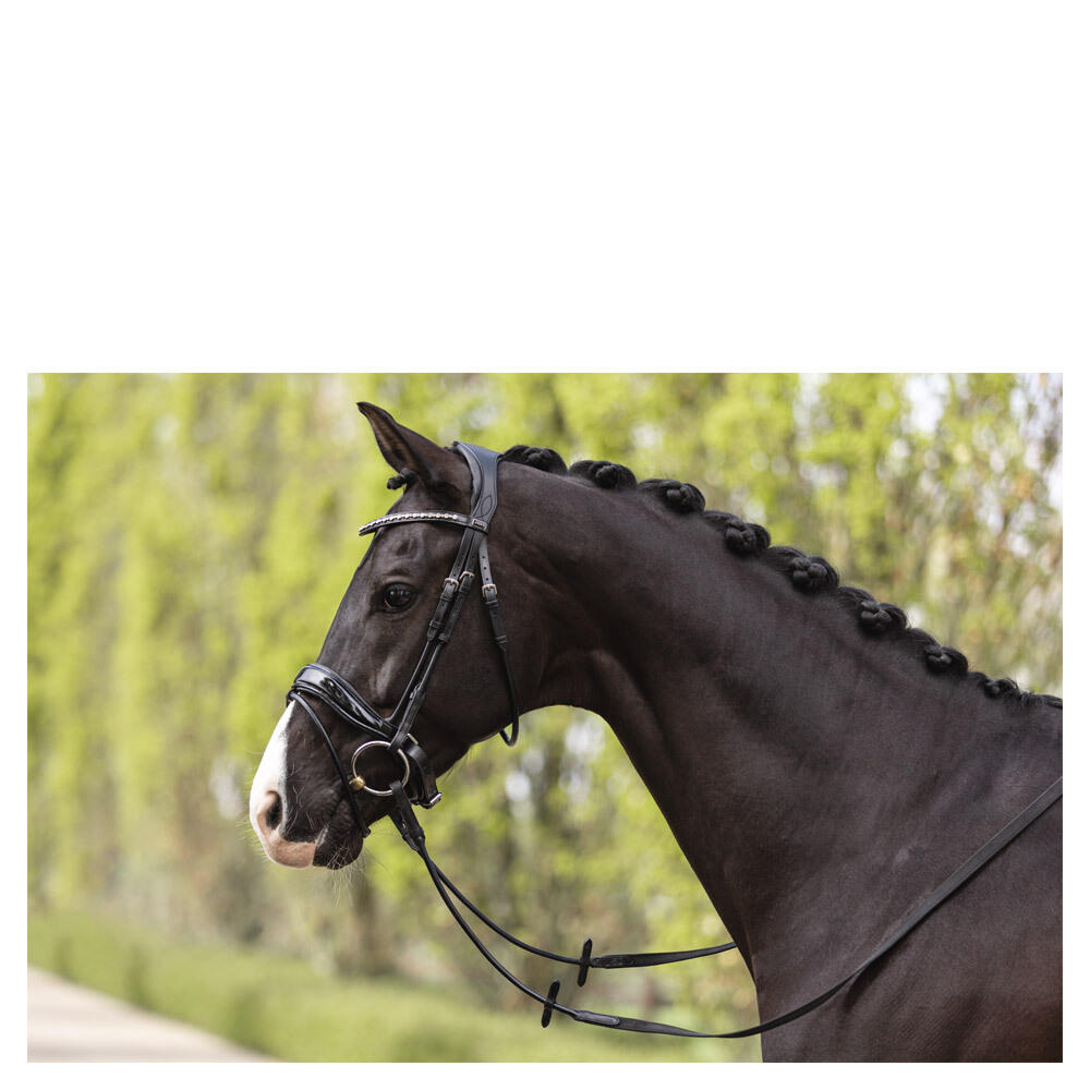 Bridons équitation muserolle combinée anatomique ANKY Comfort Fit 4/5