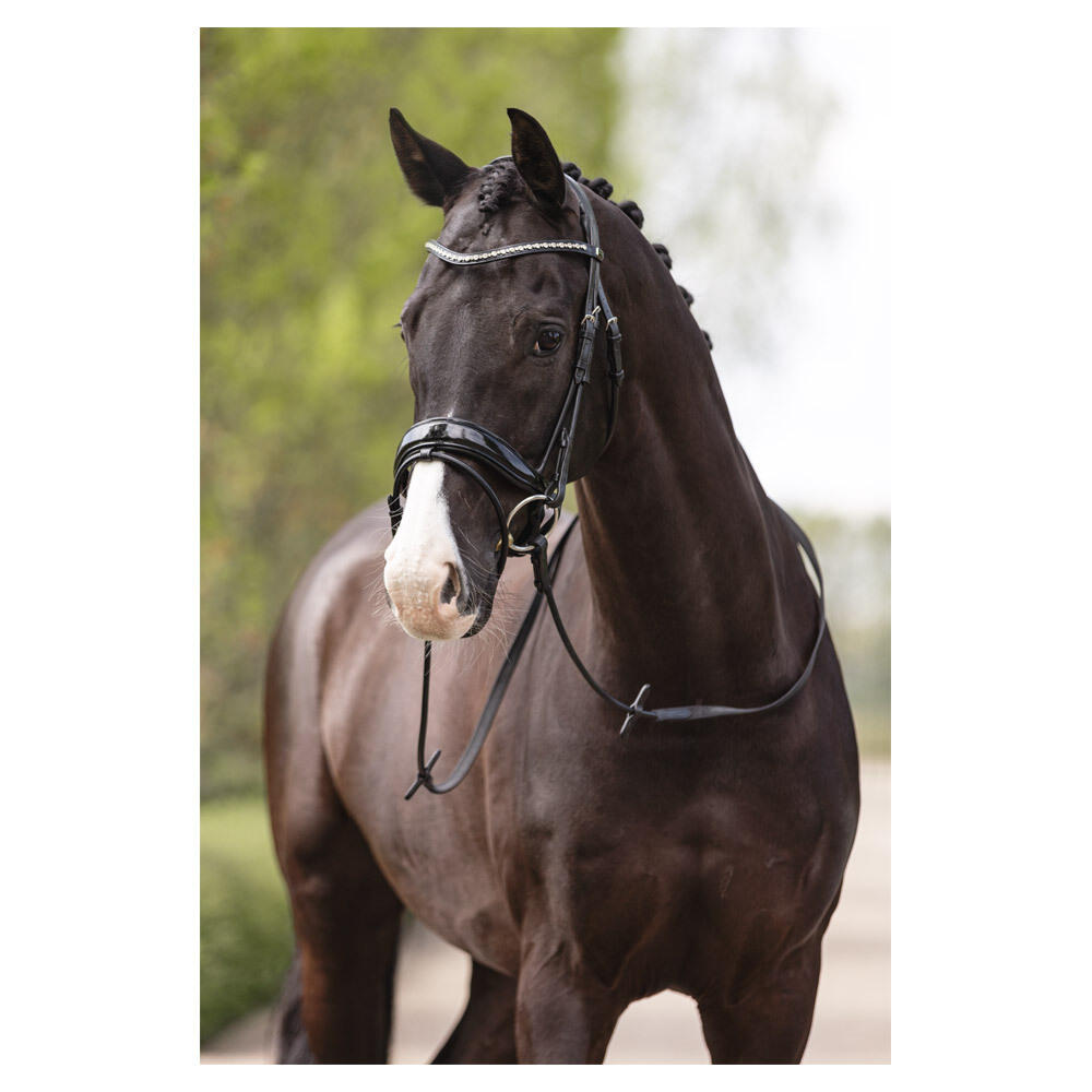 Bridons équitation muserolle combinée anatomique ANKY Comfort Fit 3/5