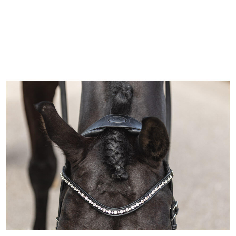 Bridons équitation muserolle combinée anatomique ANKY Comfort Fit 5/5