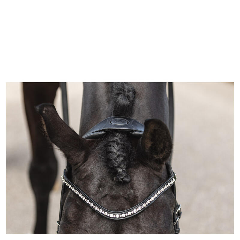 Bridons équitation muserolle combinée anatomique ANKY Comfort Fit