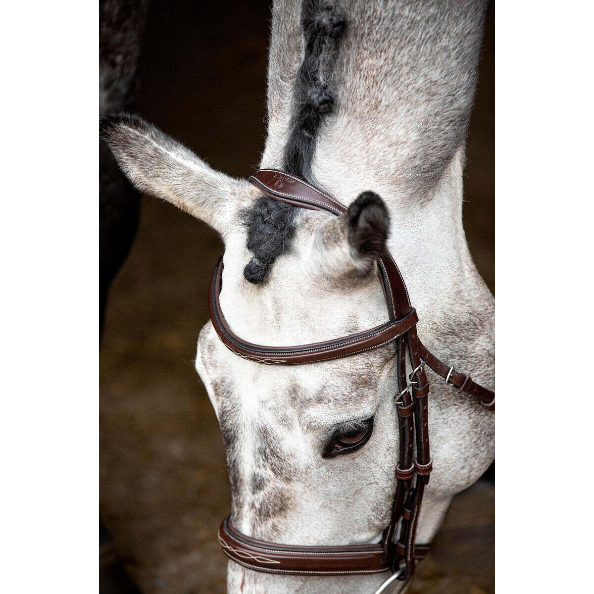 Veganistisch leren hoofdstellen Montar Hunter ECO 2/3