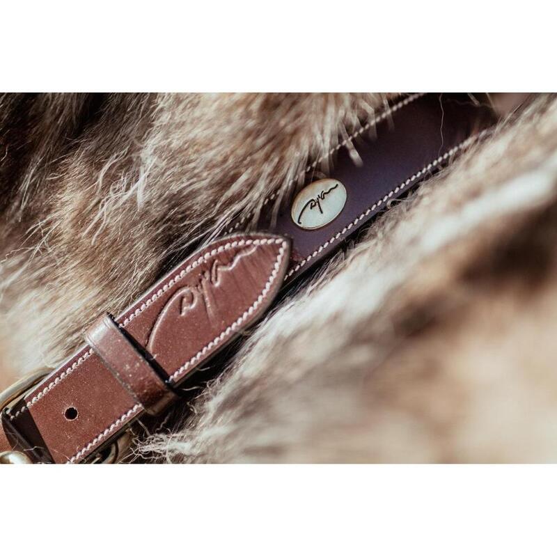 Collier pour chien cuir plat Dy'on
