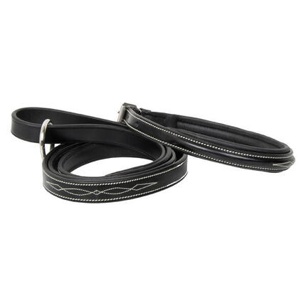 Collier pour chien HV Polo Legacy