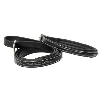 Hundehalsband HV Polo Legacy