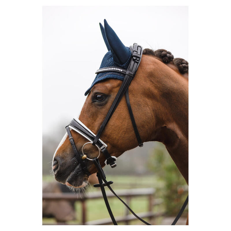 Bridons équitation couronne boucle anatomique ANKY