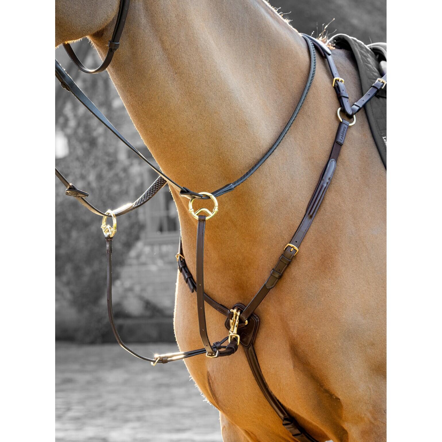 Jachthalsband voor paarden LeMieux Havana 4/7