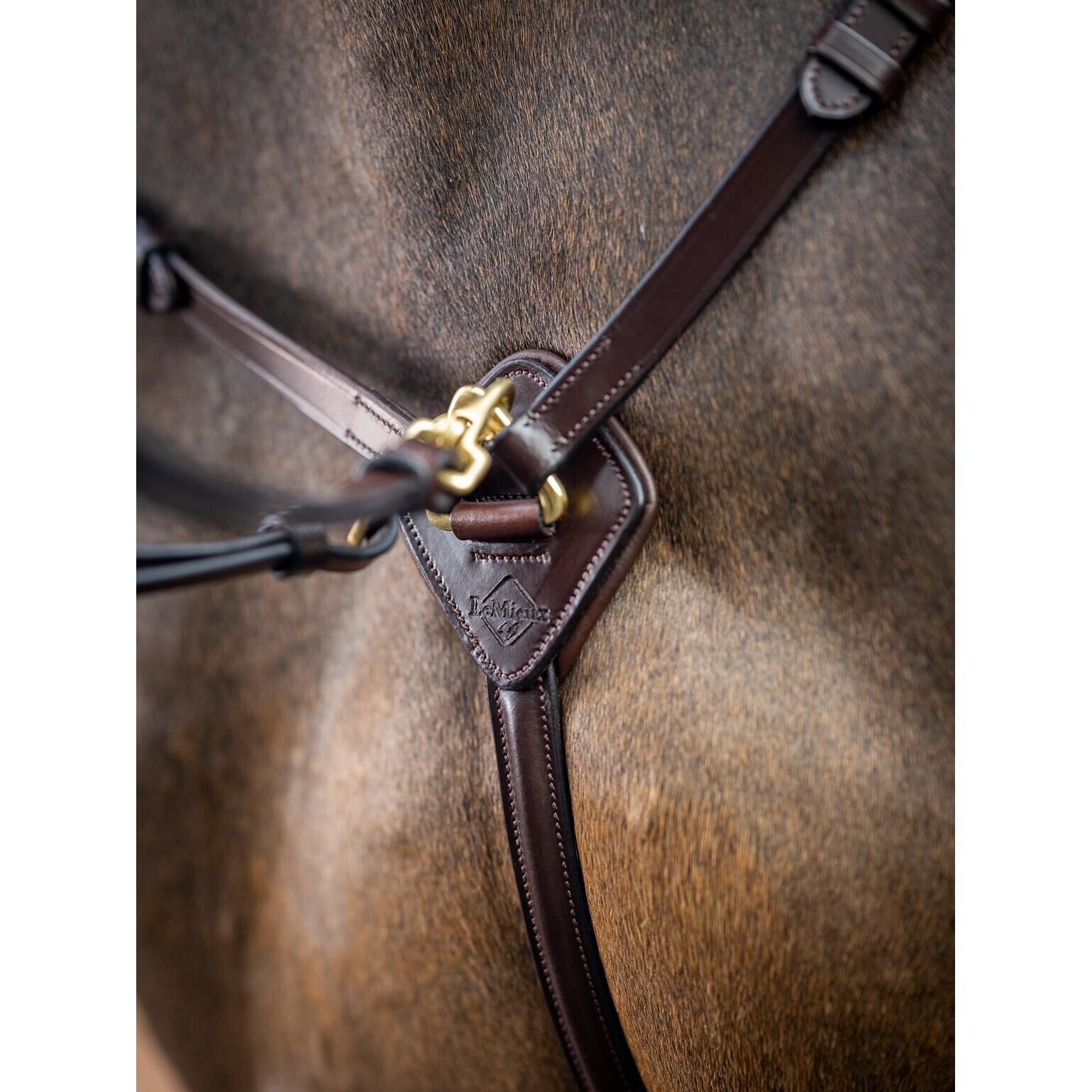 Jachthalsband voor paarden LeMieux Havana 3/7