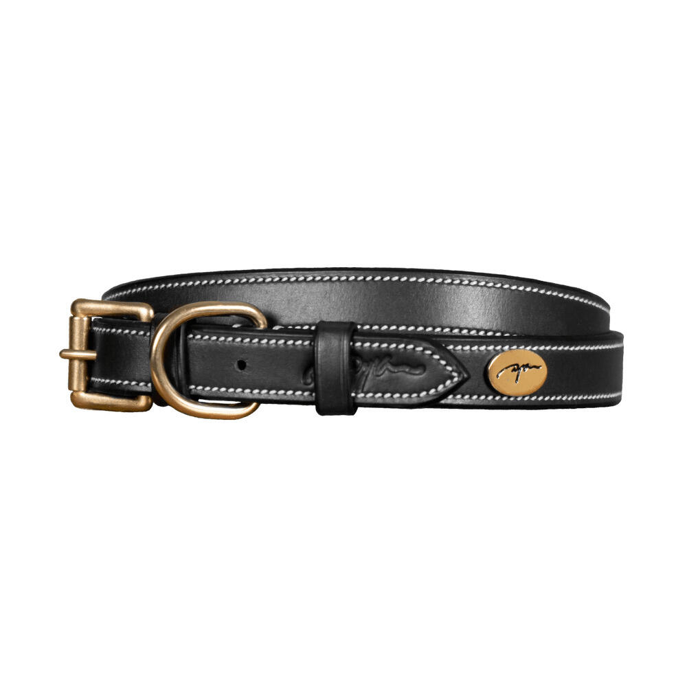 Flat leather dog collar Dy'on