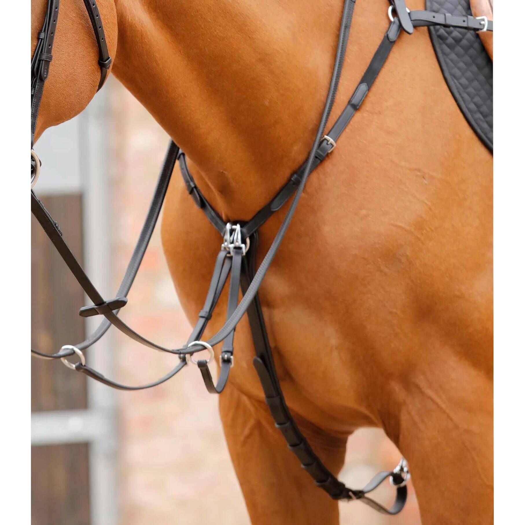Collare da caccia per cavalli Premier Equine Valbrona Performance 3/6