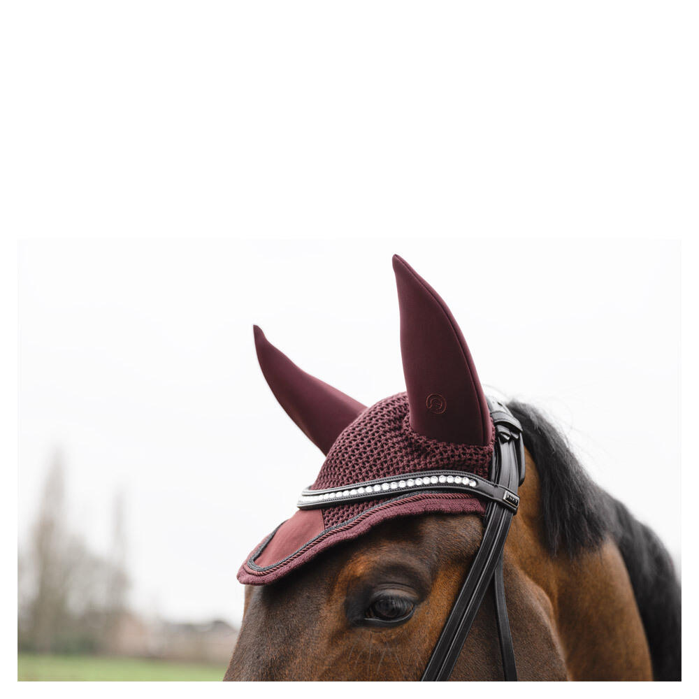 Cappello per cavallo lungo ANKY Leafs 3/4
