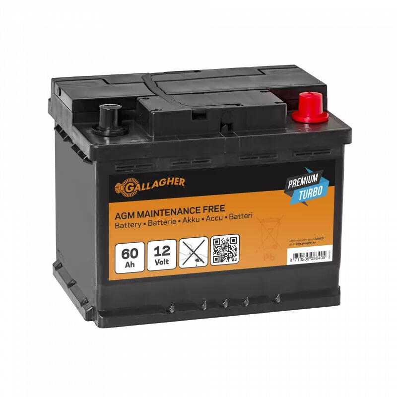 GALLAGHER picture
